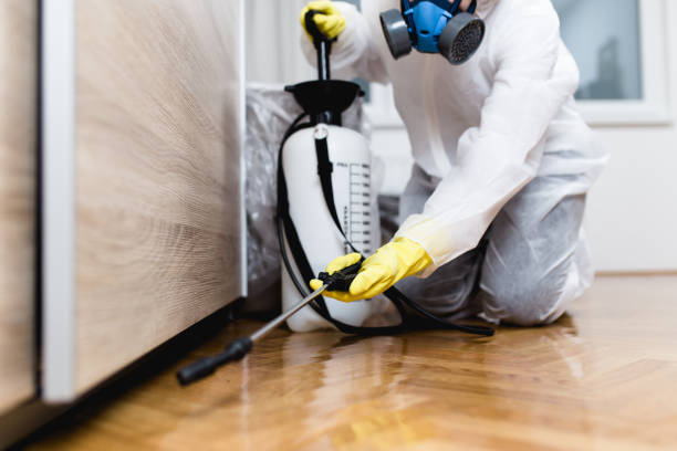Wasp Removal Services in Colonial Pine Hills, SD
