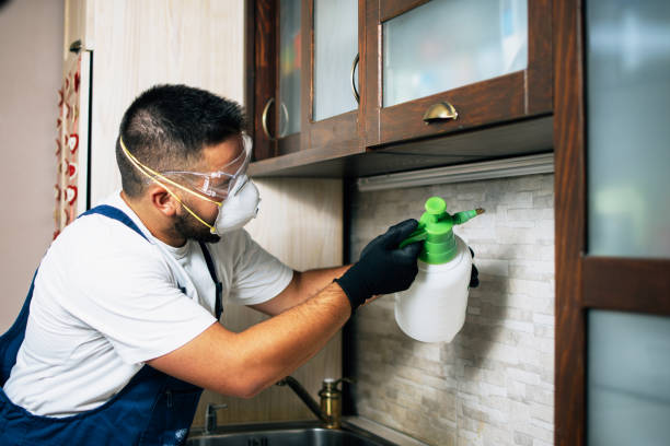 Best Bed Bug Extermination  in Colonial Pine Hills, SD