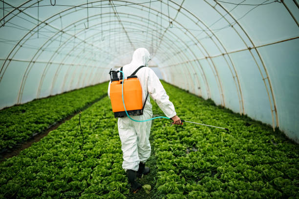 Best Affordable Pest Control Services  in Colonial Pine Hills, SD