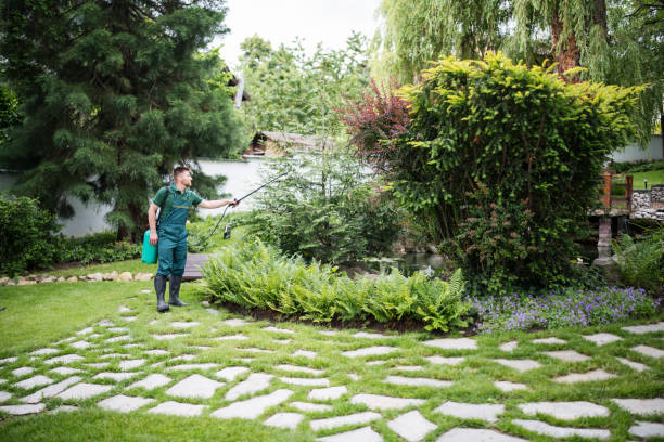 Best Affordable Pest Control Services  in Colonial Pine Hills, SD