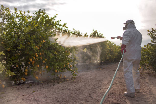 Best Pest Control Near Me in Colonial Pine Hills, SD