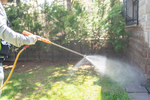 Best Affordable Pest Control Services  in Colonial Pine Hills, SD