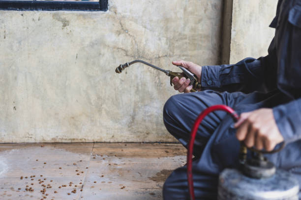 Best Pest Removal Services  in Colonial Pine Hills, SD